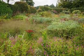 Image result for Piet Oudolf