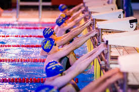 Image result for Biggleswade Swimming Club