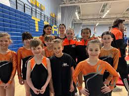 Image result for South Western Gymnastics Club