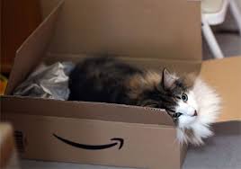 猫次郎o에 대한 이미지 검색결과