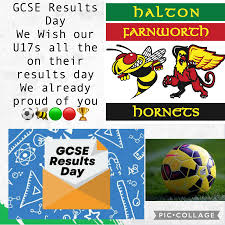 Image result for Halton Farnworth Hornets Rugby League Football Club