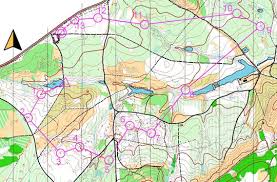 Image result for Walton Chasers Orienteering Club