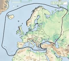 Attēlu rezultāti vaicājumam “Gelechia jakovlevi”