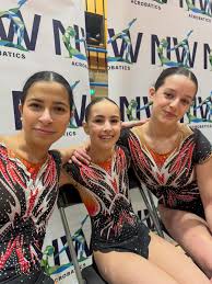 Image result for Gymnastics & Dance 4 Cheshire