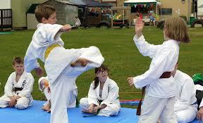 Image result for Seiki Juku Karate Club