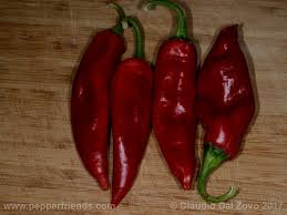 Afbeeldingsresultaat voor numex sandia hot pepper