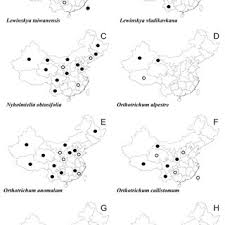 Attēlu rezultāti vaicājumam “Orthotrichum, Nyholmiella”
