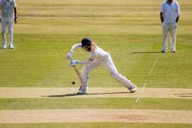 Image result for Botany Bay Cricket Club