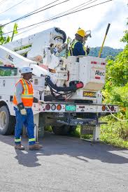 Image result for Woking Power