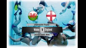 Image result for Llanelli Octopush Club