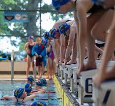 Image result for Crawley Swimming Club