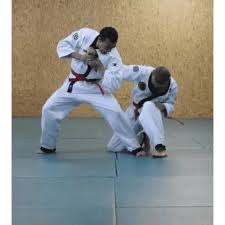 Image result for Swindon Hapkido Club