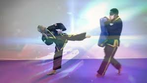 Image result for Surrey Choi Kwang-Do