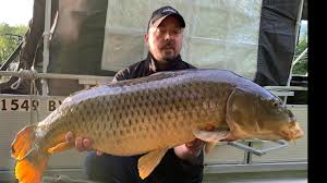 Image result for Lamb Angling Club