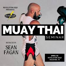 Image result for Revolution Dojo