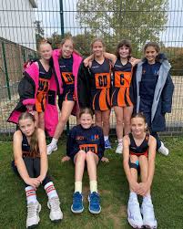 Image result for Hornets Netball Club