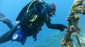 Image result for TAL Divers