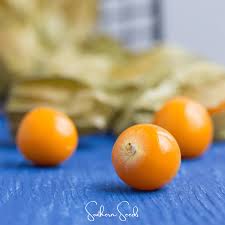 Image result for Physalis alkekengi