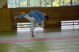Image result for Felixstowe Judo club