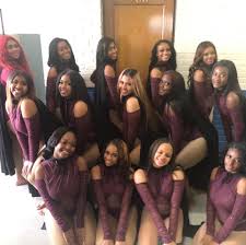 Image result for Platinum Majorettes