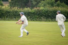 Image result for Over Stowey Cricket Club