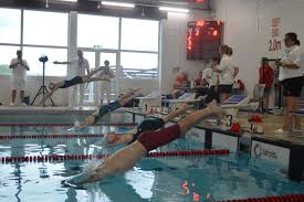 Image result for Calne Alpha 4