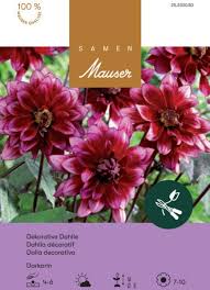 Image result for Dahlia Darkarin`