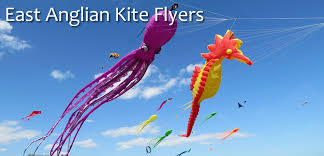Image result for Midlands Kite Fliers