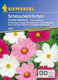 Image result for Schmuckkörbchen