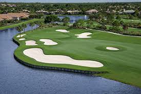 Image result for The Combe Martin Institute Club