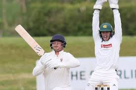 Image result for Plumtree Cricket Club