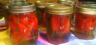 Afbeeldingsresultaat voor paper lantern hot pepper