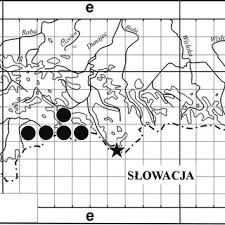 Attēlu rezultāti vaicājumam “Aloina rigida”
