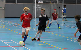 Image result for York University Futsal Club