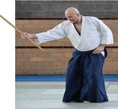 Image result for Ellis Schools of Traditional Aikido