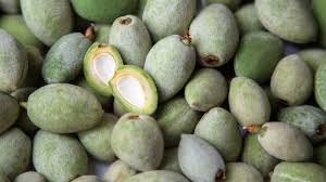 Image result for fresh green almonds