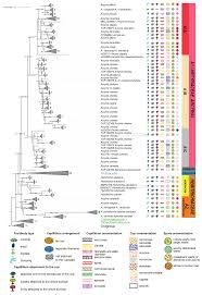 Attēlu rezultāti vaicājumam “Arcyria, Heterotrichia sp.”