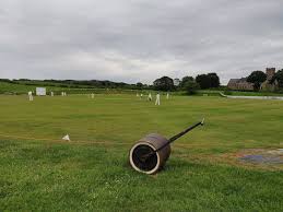 Image result for Hollingworth Cricket Club
