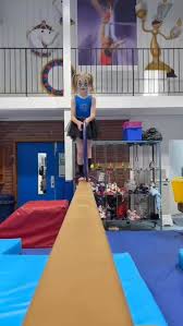 Image result for Heathrow Gymnastics Club