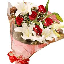 「花薔薇エルフ」の画像検索結果