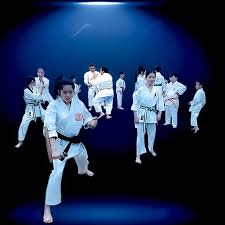 Image result for Ryusui-ryu Martial Arts School East Grinstead