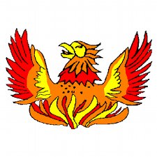 Image result for Phoenix Acro Gymnastics Club