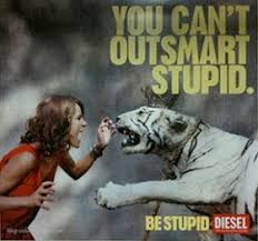 Image result for stupid diesel