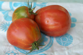 Afbeeldingsresultaat voor crnkovic yugoslavian tomato