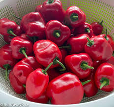 Afbeeldingsresultaat voor red rocoto hot pepper