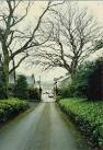 Copyright Rosalind Mitchell - via Daymix