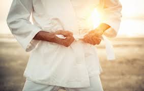 Image result for Taunton Karate Jutsu