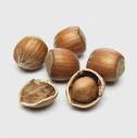 hazelnut: nut -- Kids Encyclopedia | Children's Homework Help ...