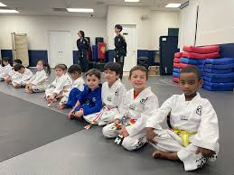 Image result for Torbay Taekwondo Schools
