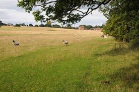 Image result for Kempsey Cc